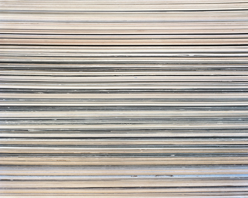 Parsley_Steinweiss © Parsley Steinweiss