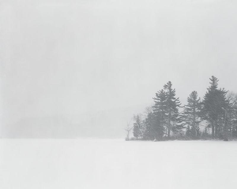Blizzard ©Lisa M. Robinson, from Snowbound