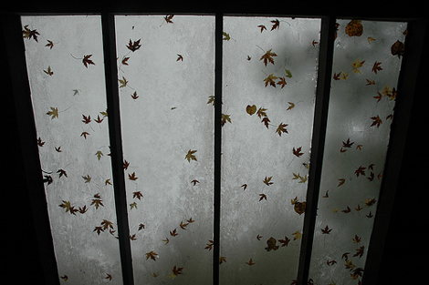 © Kate MacDonnell Leaves Fall, from "100 Ways..." ©Kate MacDonnell