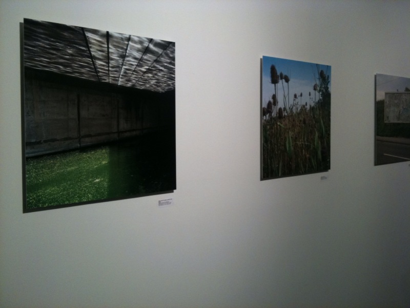 Exhibition Gesche Würfel Exhibition Gesche Würfel