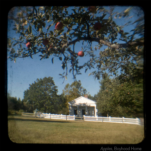 © Emma Powell Apples, Boyhood Home ©Emma Powell
