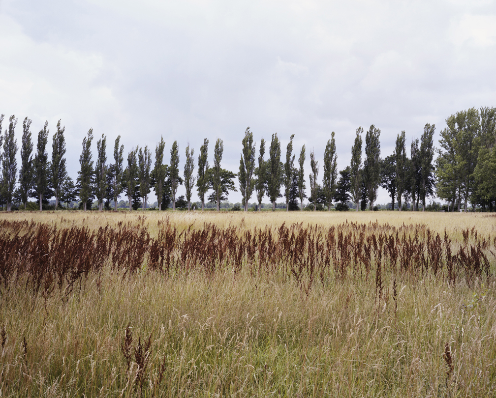 Neungamm Concentration Camp ©Yoav Horesh