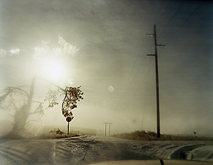 A Road Divided © Todd Hido