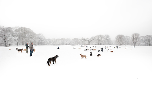 Nethermead © Joseph Holmes